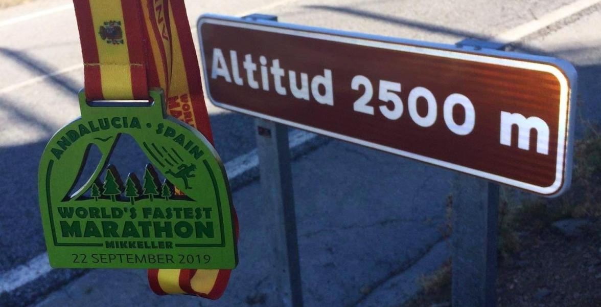 World's Fastest Marathon 2019 medal